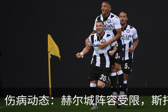 伤病动态：赫尔城阵容受限，斯托克城略受影响